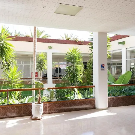 1020 Wonderfull 1 Bedroom Sea View Playa de las Américas